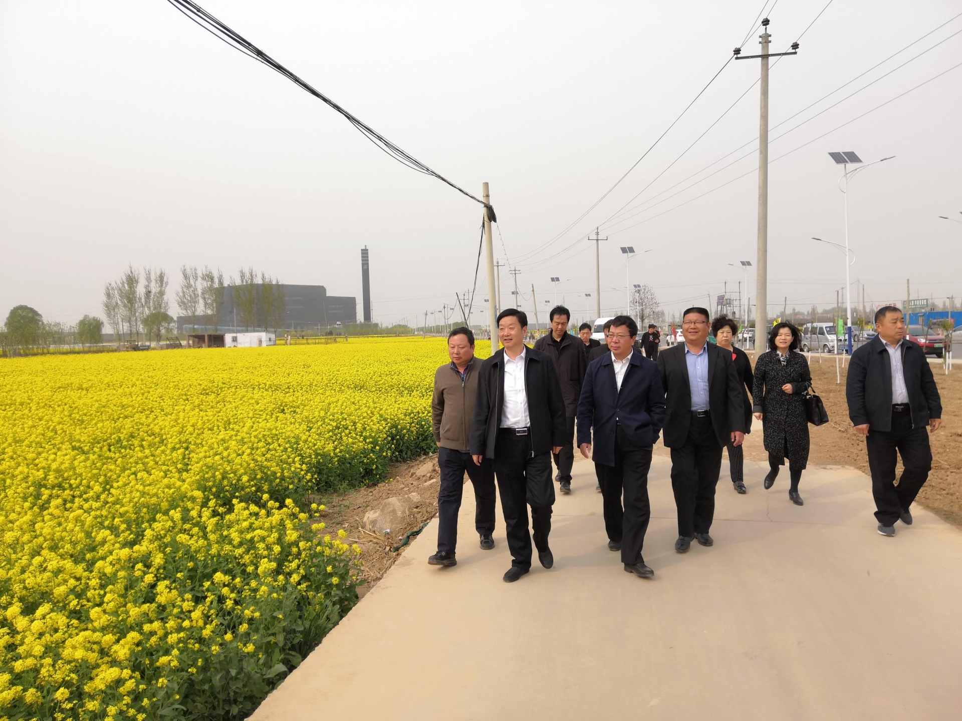 農(nóng)業(yè)農(nóng)村部領(lǐng)導親臨魏縣園區(qū)指導工作